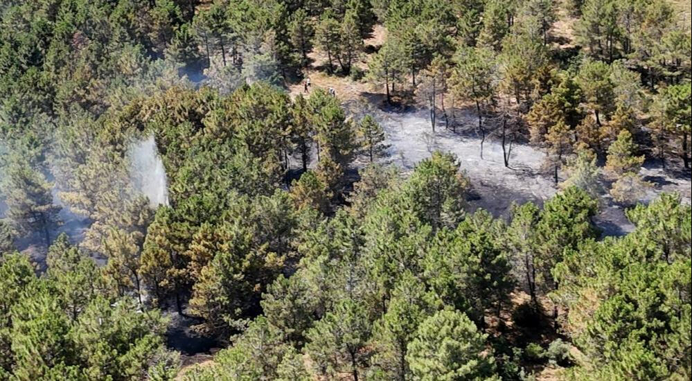 İstanbul'da yangın paniği! Çevre ilçelerden destek: Karadan ve havadan müdahale - 1. Resim