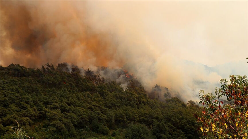 Suriye'nin ciğerleri 10 gündür yanıyor! 14 bin hektar küle döndü, mayınlar müdahaleyi engelliyor - 3. Resim