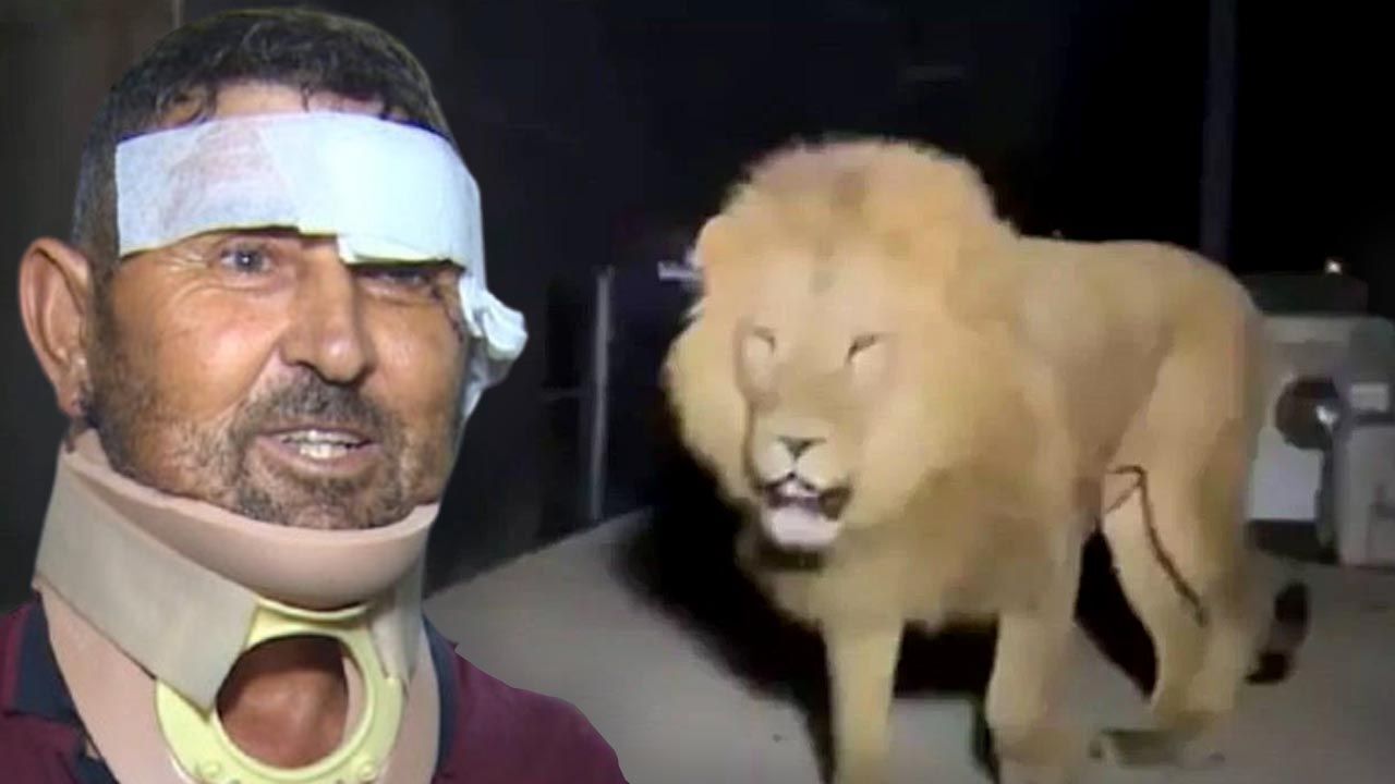  -Aslan saldırısına uğrayan adam taburcu oldu