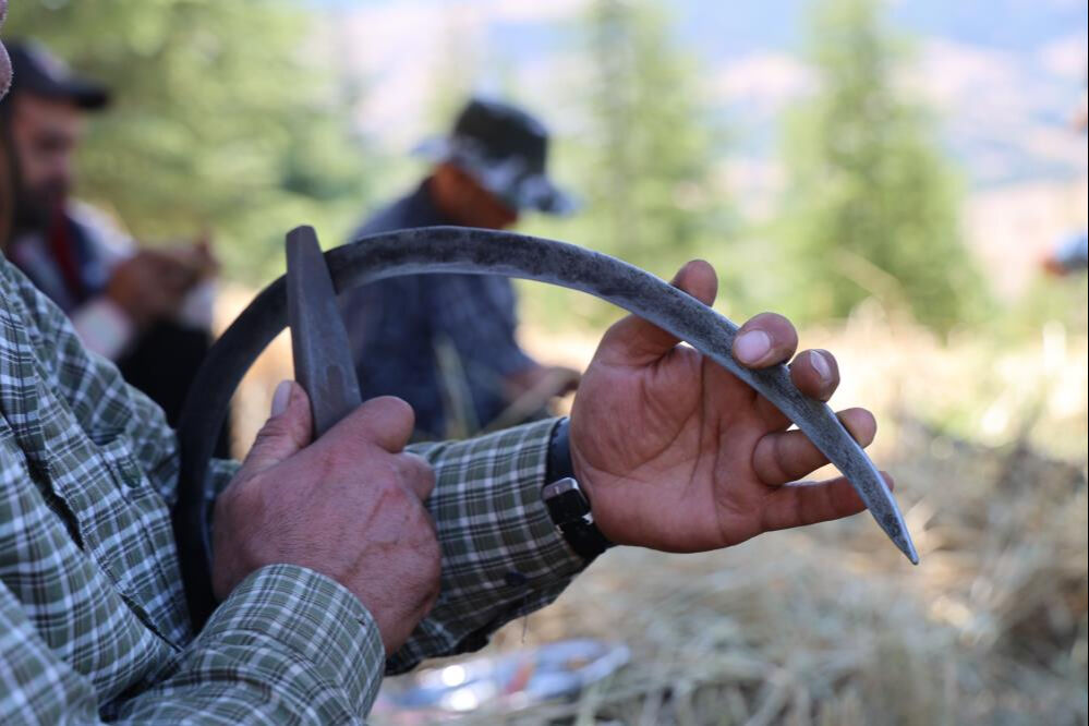 Binlerce yıldır değişmedi! Bu tarlalarda teknoloji yok... - 1. Resim