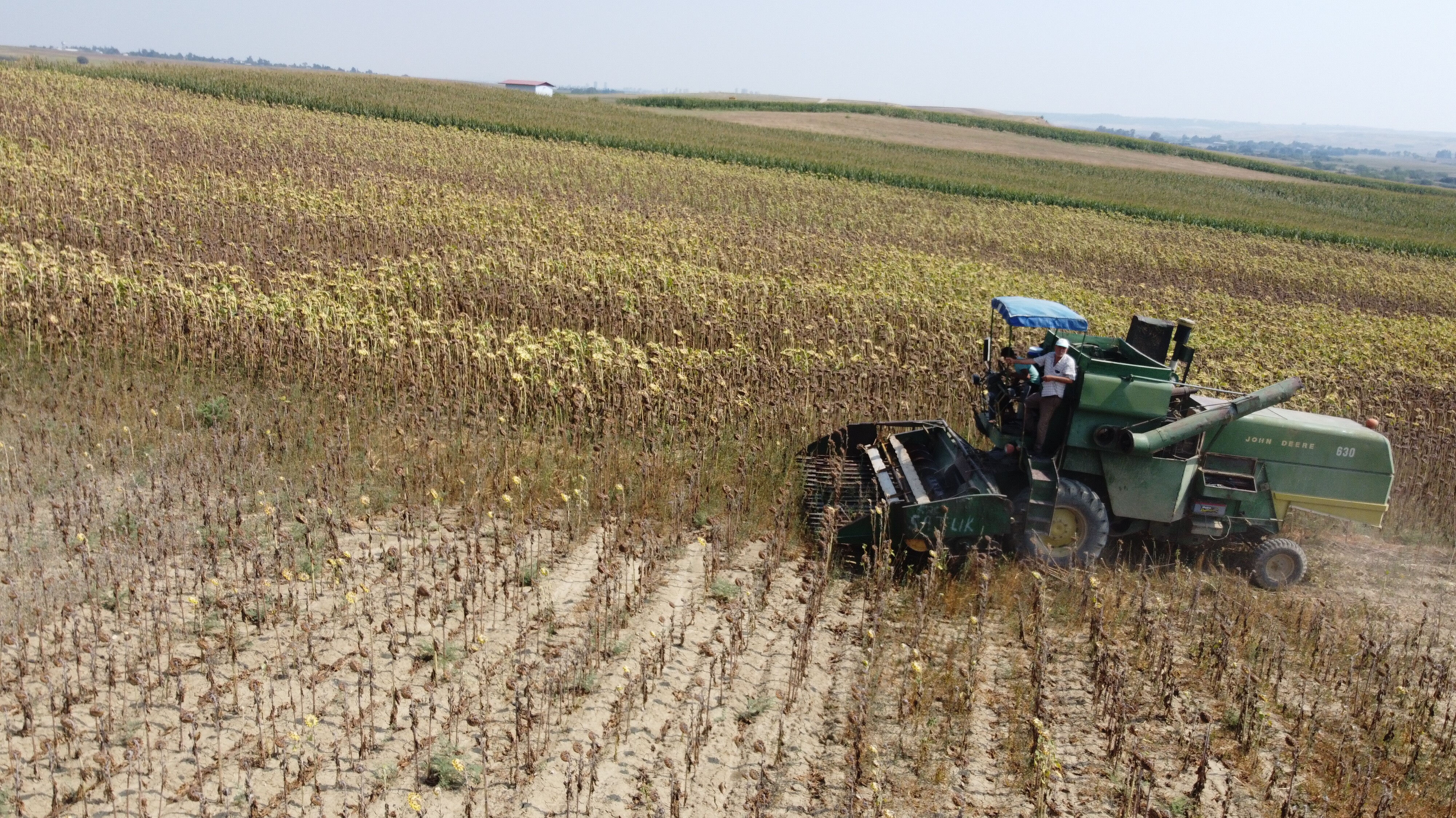 Çiftçiyi şimdi de kuraklık vurdu! Anadolu’da verim kaybı yüzde 85’lere ulaştı - 2. Resim