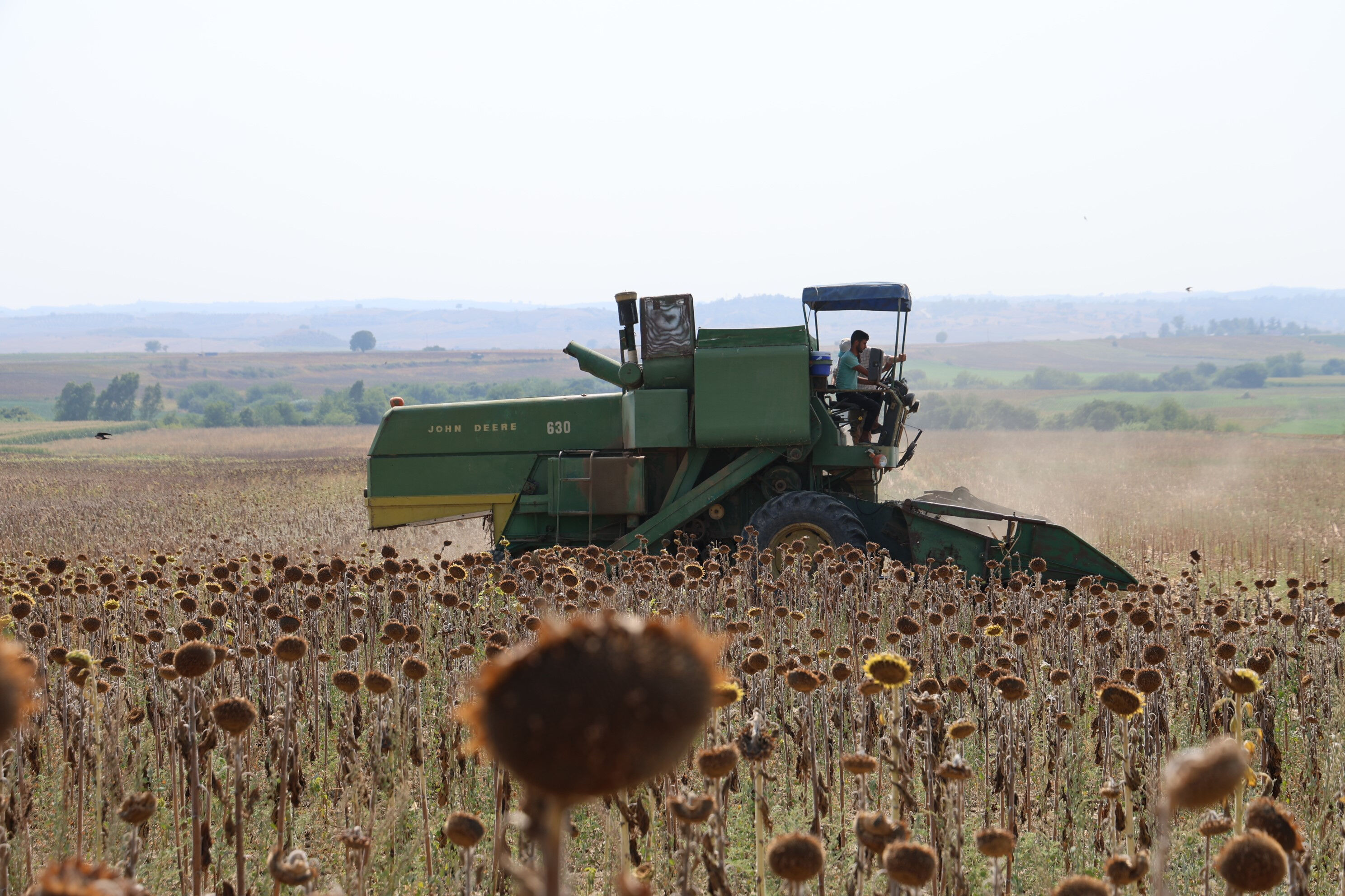 Çiftçiyi şimdi de kuraklık vurdu! Anadolu’da verim kaybı yüzde 85’lere ulaştı - 1. Resim
