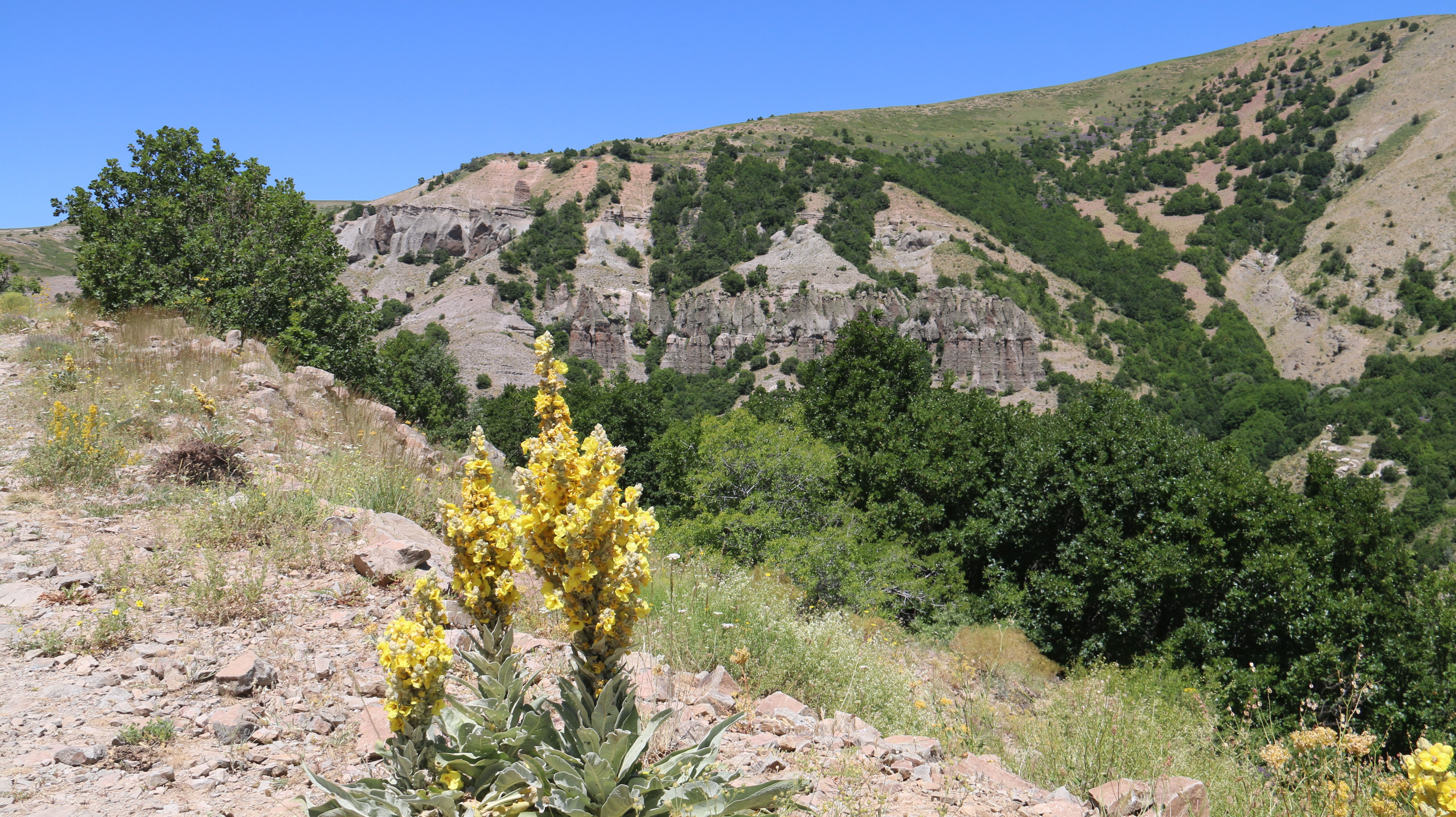 Efsanesi dillerden dillere yayıldı, ilginç yapıyı gören bir daha bakıyor!