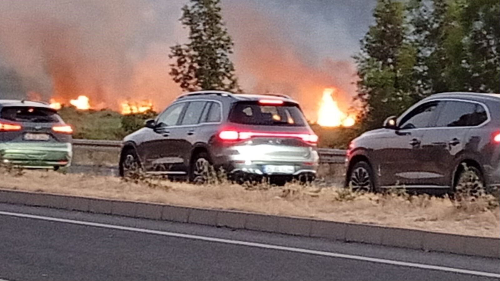 İzmir Aliağa ve Urla'da feci yangın! Alevler Çanakkale-İzmir yoluna ulaştı, sürücüler zor anlar yaşadı - 3. Resim