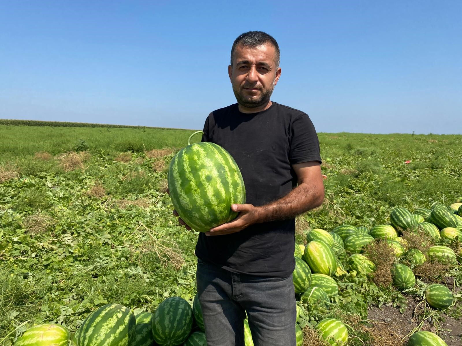 Kilosu 2 TL'ye düşünce üretici mağdur olmuştu! Başkan olaya el attı, 200 ton karpuz satın alındı - 1. Resim