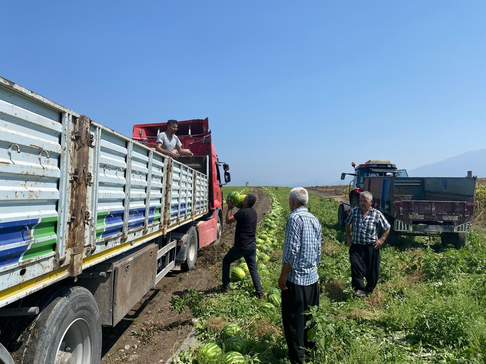 Kilosu 2 TL'ye düşünce üretici mağdur olmuştu! Başkan olaya el attı, 200 ton karpuz satın alındı - 3. Resim