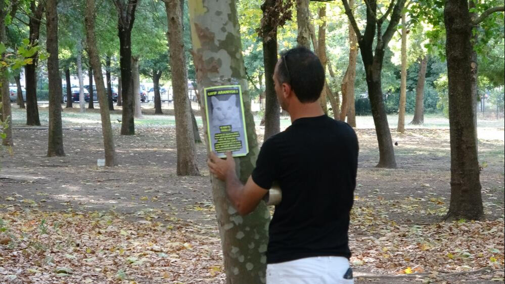 Sokak sokak gezip gözyaşları içinde onu arıyor! Bulana binlerce lira verecek Sokak sokak gezip gözyaşları içinde onu arıyor! Bulana binlerce lira verecek - 1. Resim