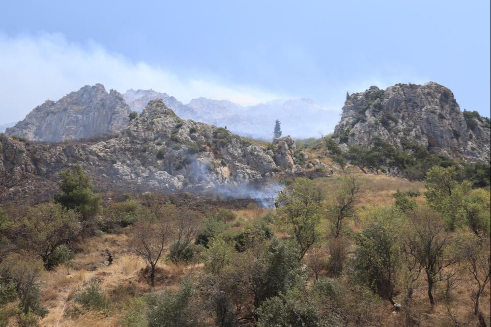 Vatandaşlar fark etti! Hatay'da orman yangınına ekiplerden jet müdahale - 1. Resim