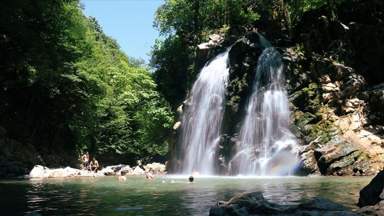 Yaşam