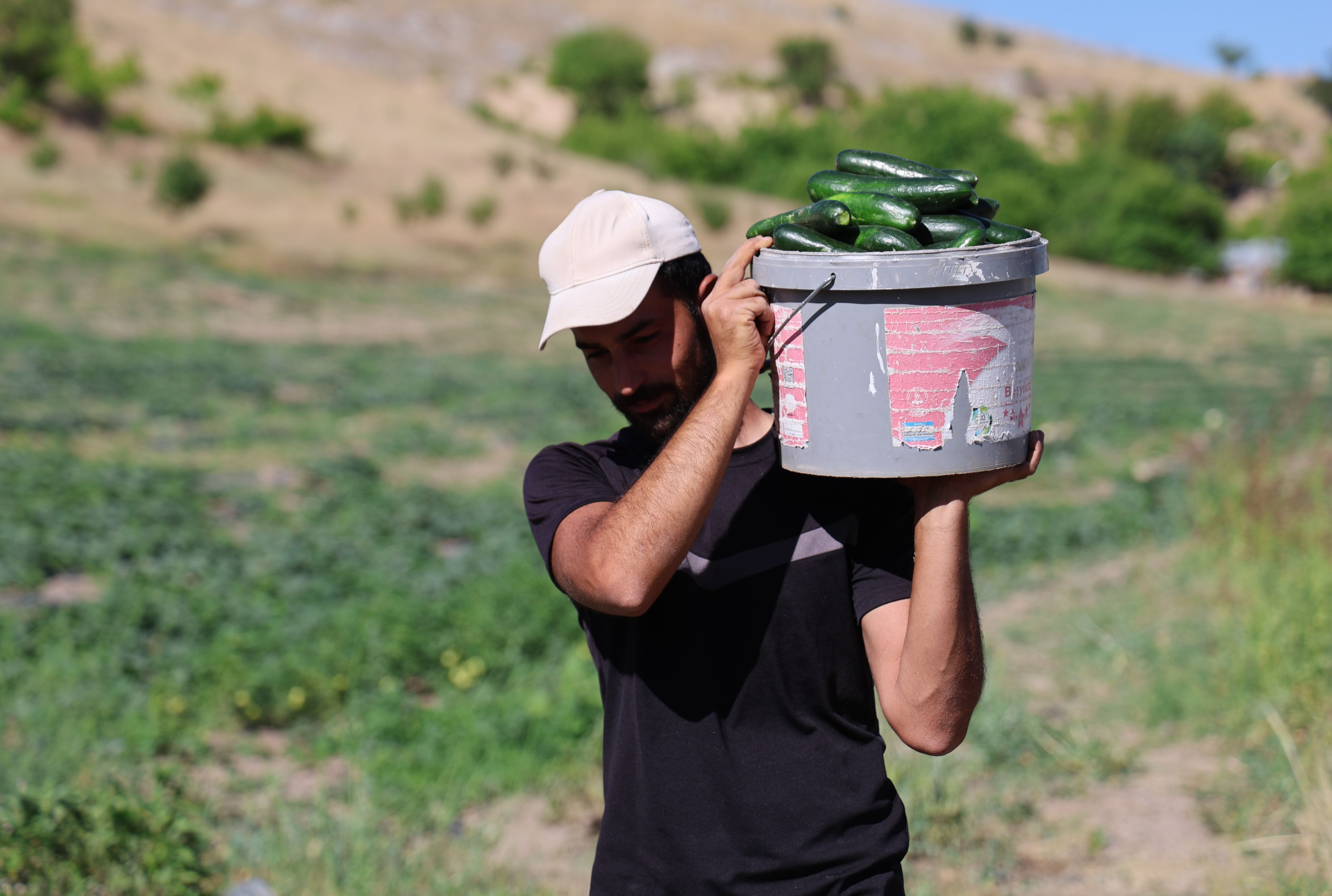 14 yıldır tarladan sofraya! Hal fiyatına satıyorlar, vatandaş akın akın gidiyor - 1. Resim