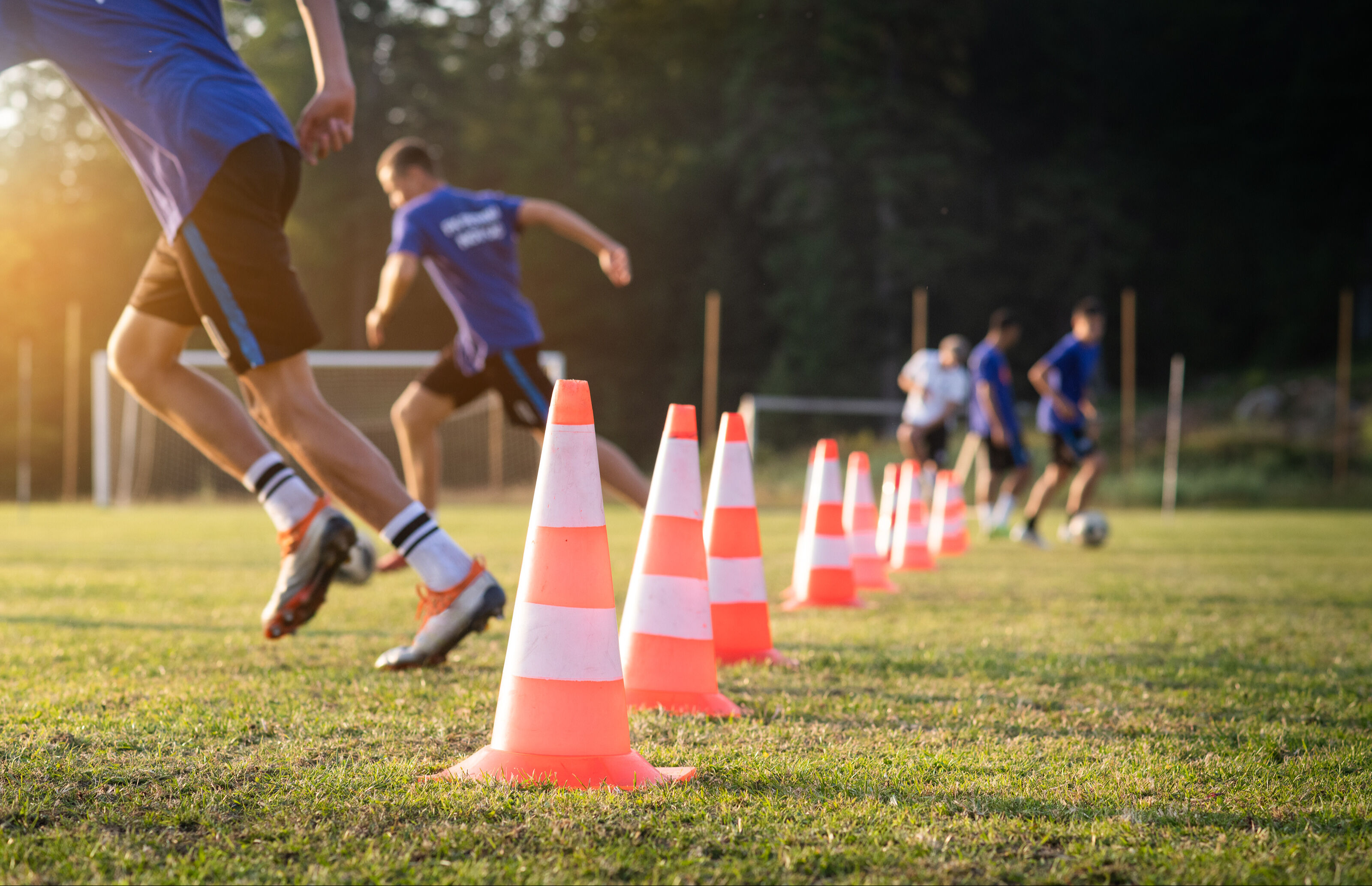 Antalya i&ccedil;in 4 alanda s&uuml;per teşvik! Sporcu sağlığı, aromatik bitkiler, organik sera ve g&uuml;bre - 1. Resim