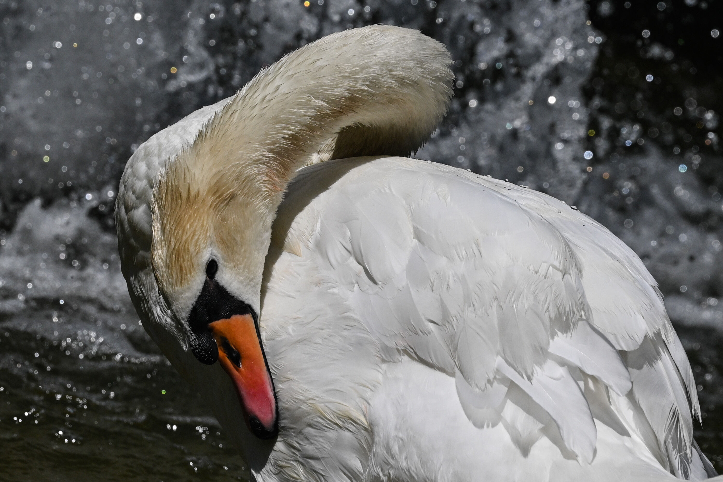 Başkent yanıyor... Termometreler zirveyi gördü, çocuklar çeşmelere koştu! - 1. Resim