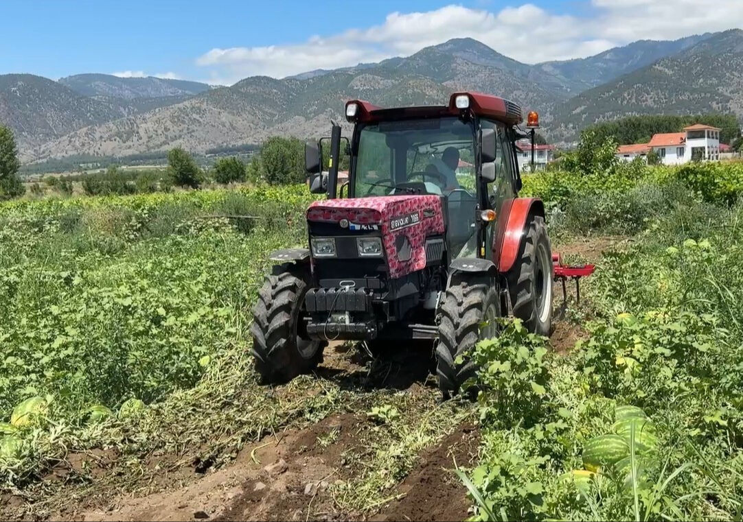 Bolluk arttı, pazar d&uuml;şt&uuml;! D&ouml;n&uuml;m fiyatı 10 bin TL'leri g&ouml;rd&uuml;... - 2. Resim
