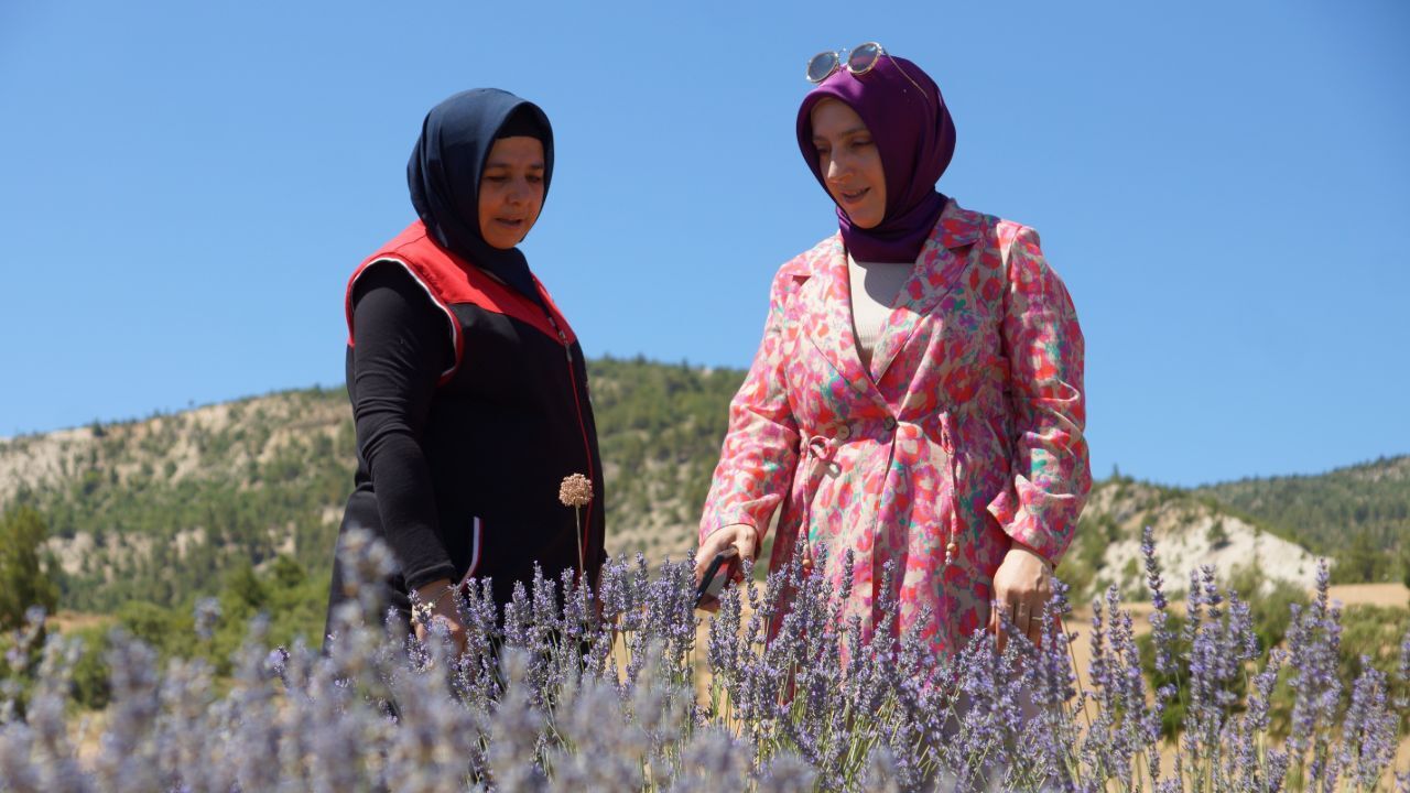 Emekli olup köyüne döndü, hayatı değişti! Yeni hedefi, verimi daha da artıracak Emekli olup köyüne döndü, hayatı değişti! Yeni hedefi, verimi daha da artıracak