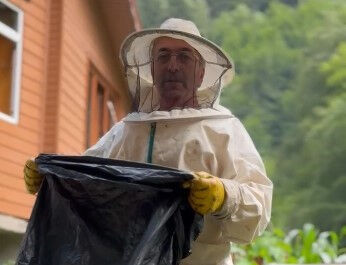 Evi arılar bastı, anne 'tencere kapaklarını' devreye soktu - 1. Resim