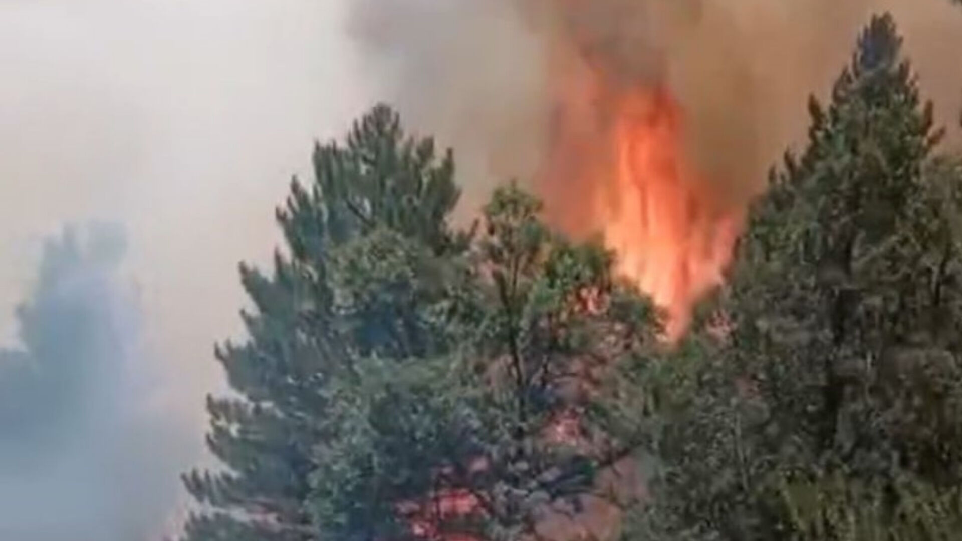 Konya'nın ciğerleri yanıyor! Alevler büyümeye başladı - 1. Resim