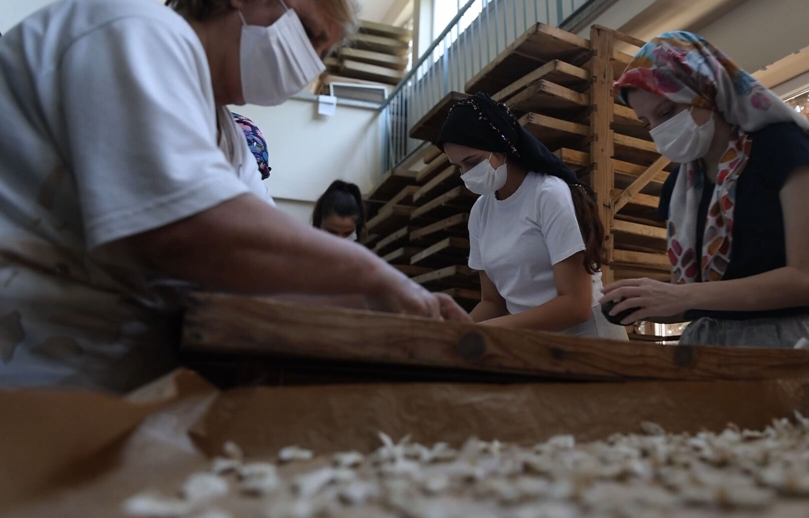 Tek tek ayıklanıyor, ücretsiz dağıtılılıyor! Bu tesis Türkiye'de tek, dünyada 5-6 tane var - 9. Resim