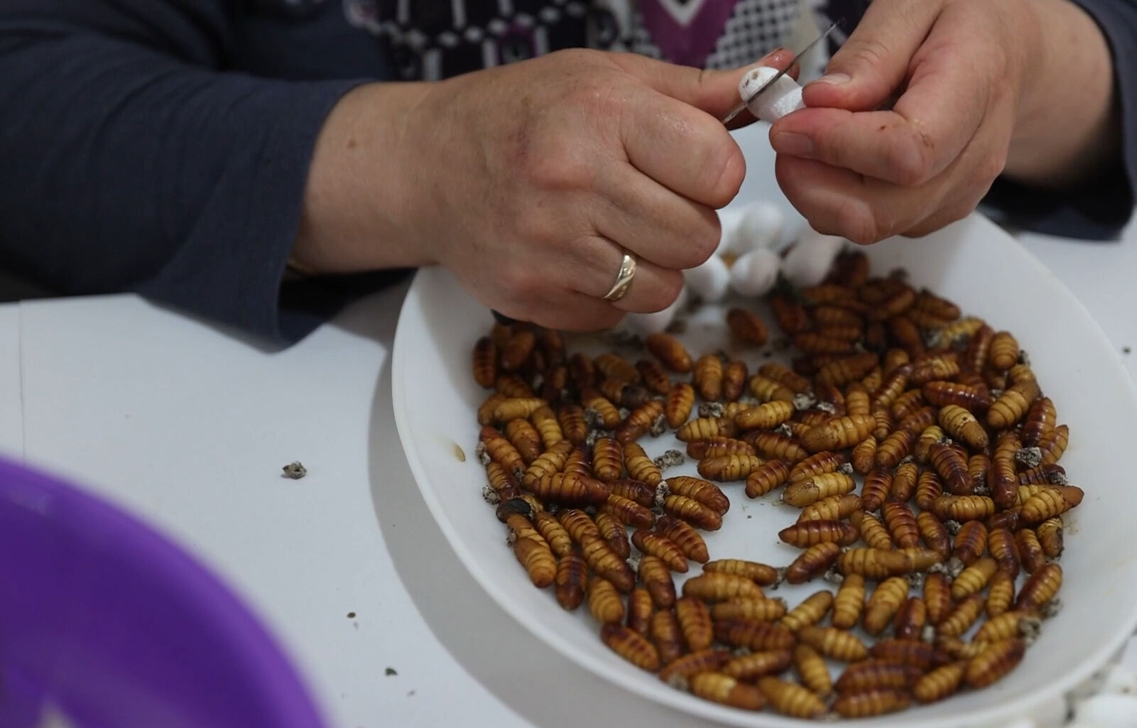 Tek tek ayıklanıyor, ücretsiz dağıtılılıyor! Bu tesis Türkiye'de tek, dünyada 5-6 tane var - 5. Resim