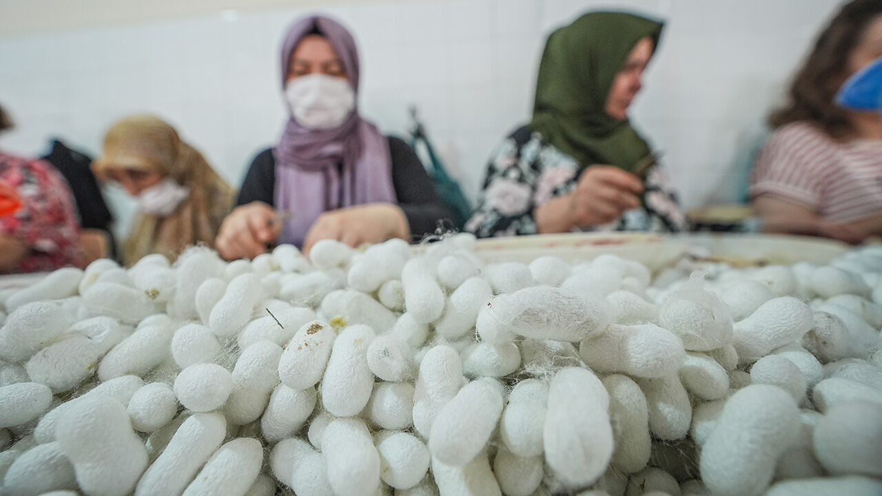 Tek tek ayıklanıyor, ücretsiz dağıtılılıyor! Bu tesis Türkiye'de tek, dünyada 5-6 tane var - 6. Resim