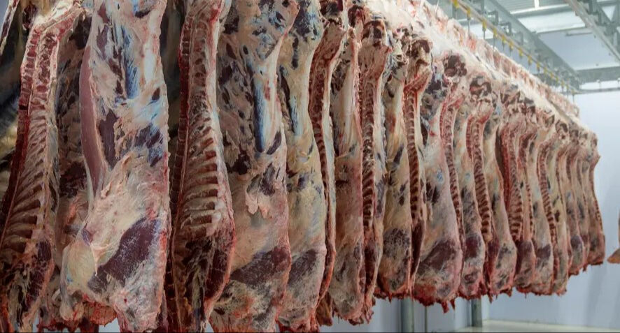 Ünlü gıda markası konkordato ilan etti! Gözde tatil beldelerinin vazgeçilmeziydi... - 2. Resim