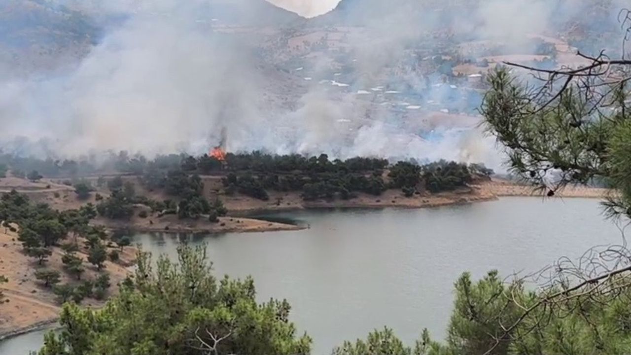 Adıyaman'da orman yangını çıktı! Yerleşim alanlarını tehdit ediyor... Adıyaman'da orman yangını çıktı! Yerleşim alanlarını tehdit ediyor...