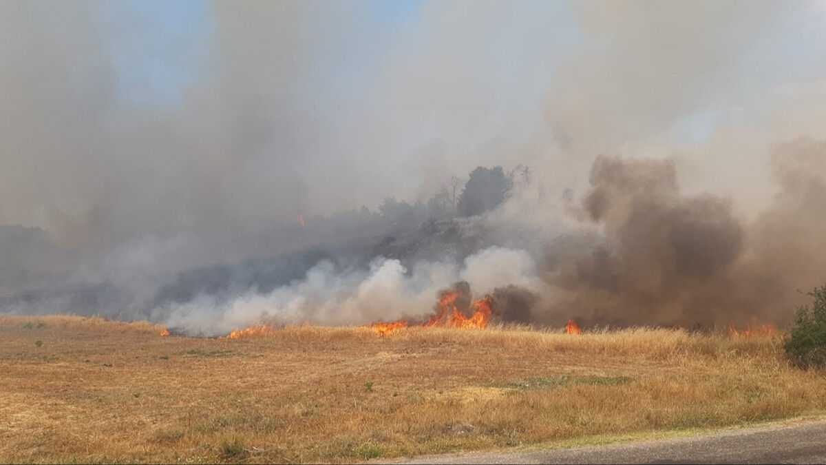 Bolu'da anız yangını ormana sıçradı! Çok sayıda ekip müdahale ediyor - 4. Resim