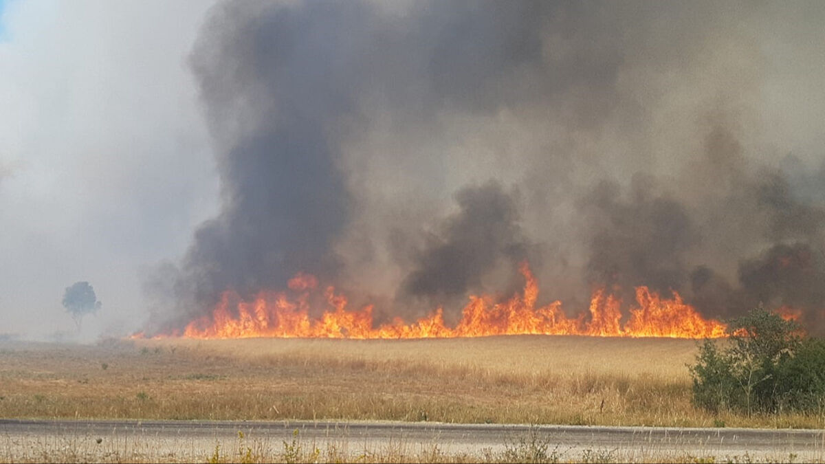 Bolu'da anız yangını ormana sıçradı! Çok sayıda ekip müdahale ediyor - 3. Resim