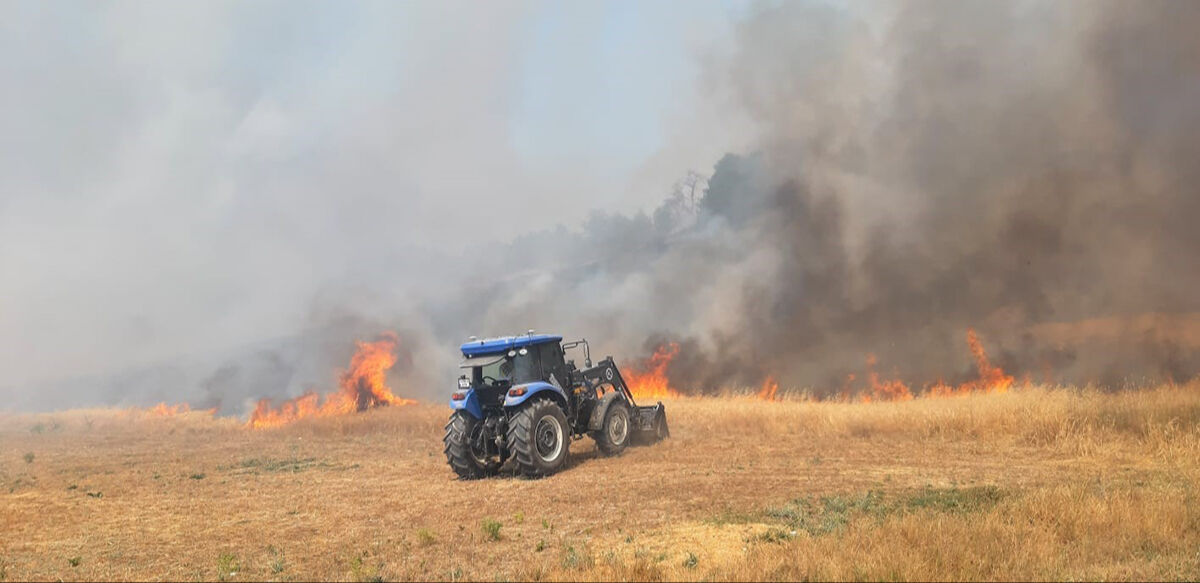 Bolu'da anız yangını ormana sıçradı! Çok sayıda ekip müdahale ediyor - 5. Resim