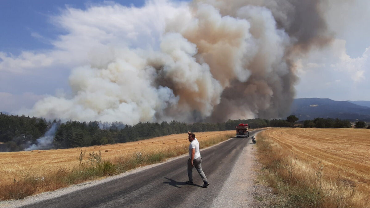 Bolu'da anız yangını ormana sıçradı! Çok sayıda ekip müdahale ediyor - 2. Resim
