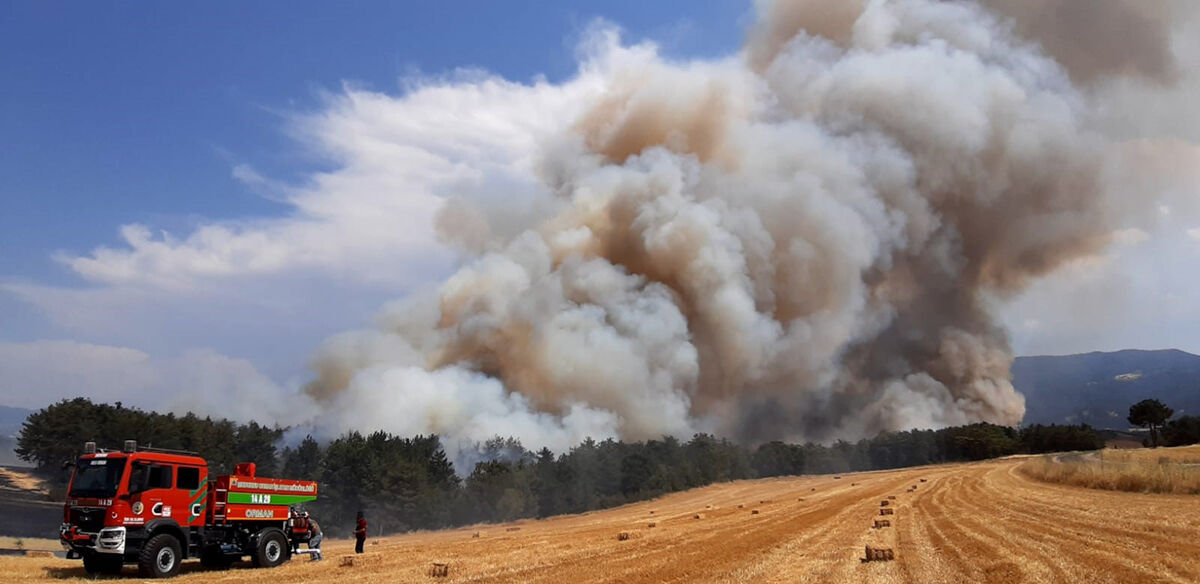 Bolu'da anız yangını ormana sıçradı! Çok sayıda ekip müdahale ediyor - 1. Resim