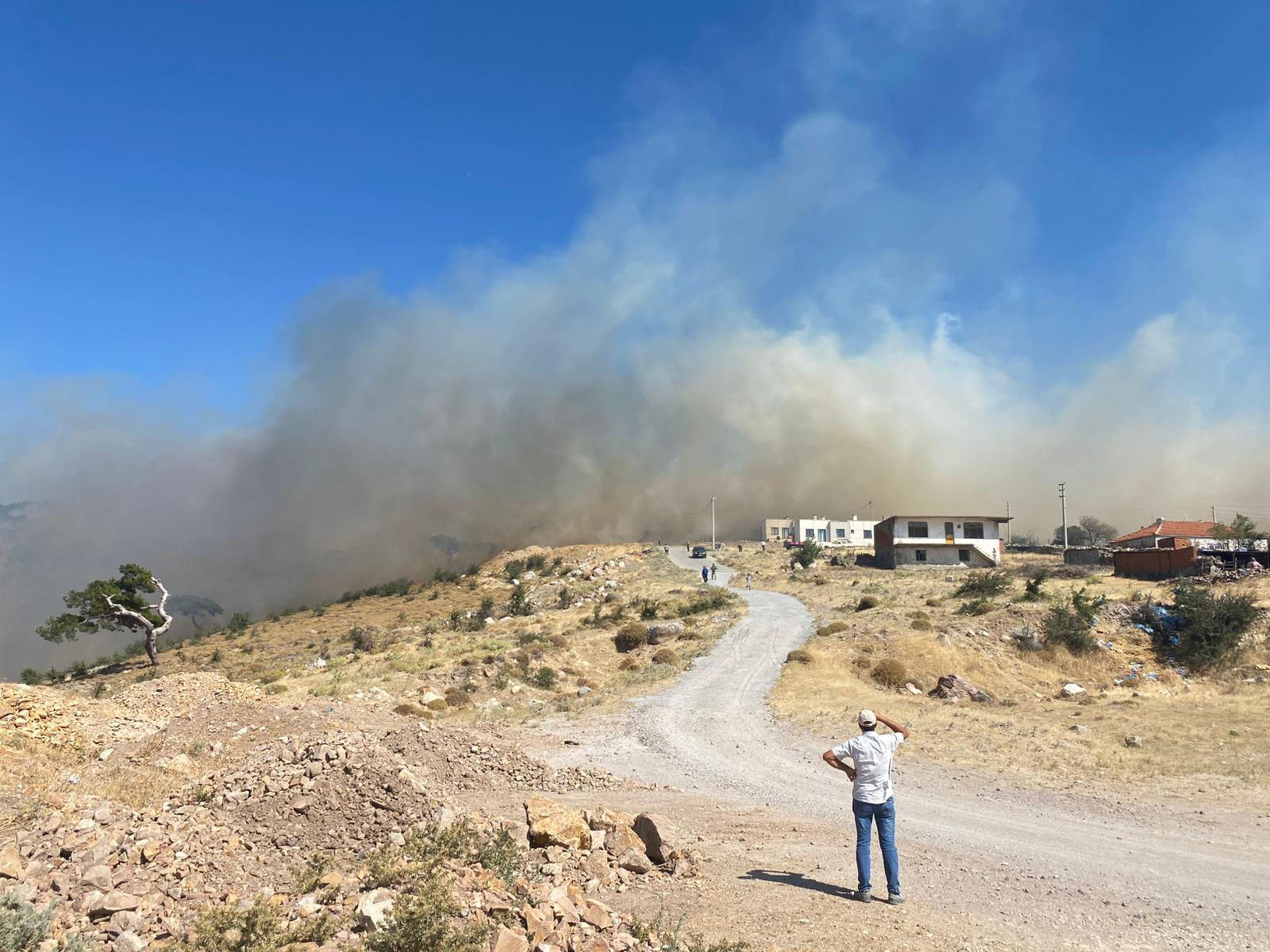 Çanakkale yangın söndürüldü mü, yangın neden çıktı? Çanakkale Ayvacık'ta orman yangını çıktı! - 2. Resim