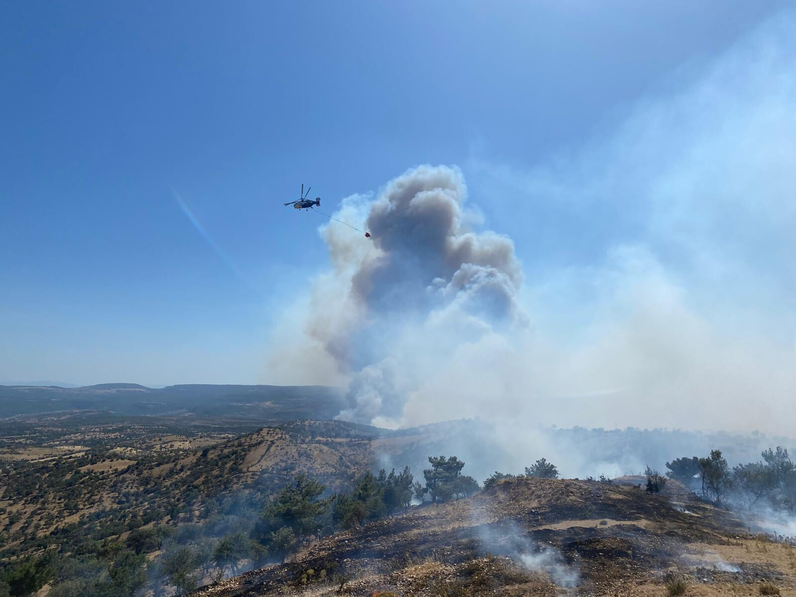 Çanakkale yangın söndürüldü mü, yangın neden çıktı? Çanakkale Ayvacık'ta orman yangını çıktı! - 3. Resim