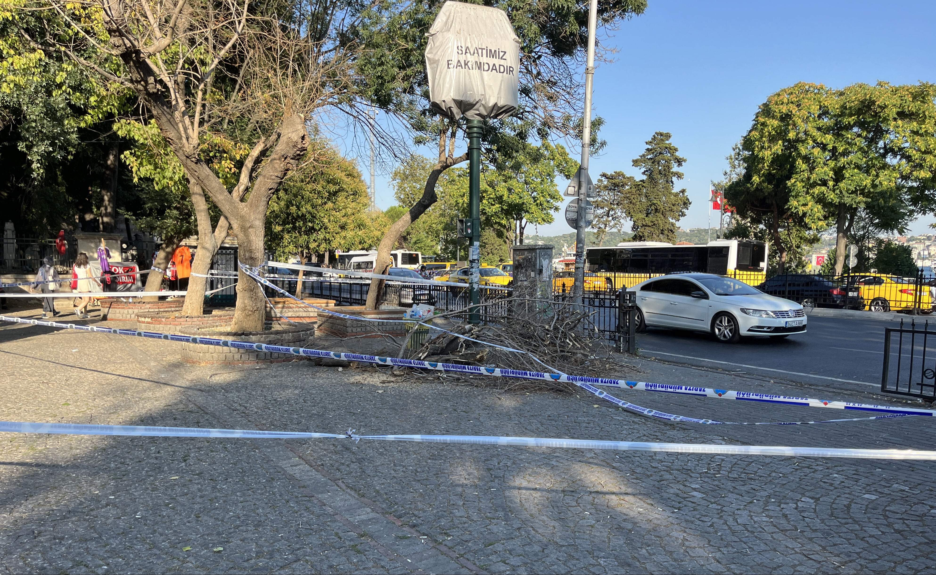 İstanbul'da feci olay: Üzerine ağaç dalı düşen 3 kişi hastanelik oldu - 1. Resim