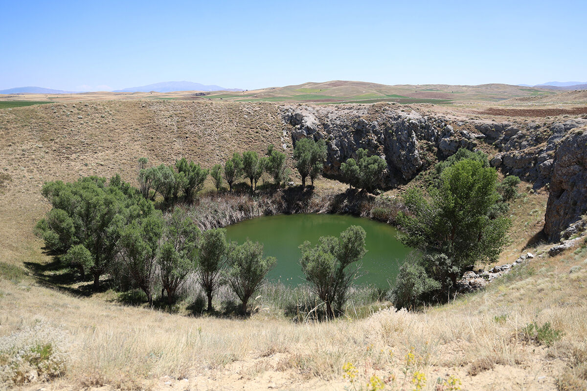 Kene korkusundan gidemiyorlar! Doğanın gözleri sessizliğe büründü Kene korkusundan gidemiyorlar! Doğanın gözleri sessizliğe büründü - 3. Resim