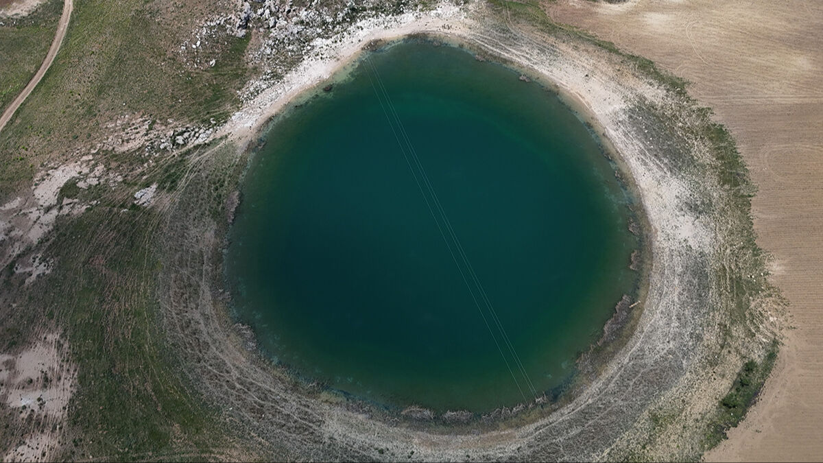 Kene korkusundan gidemiyorlar! Doğanın gözleri sessizliğe büründü Kene korkusundan gidemiyorlar! Doğanın gözleri sessizliğe büründü - 2. Resim