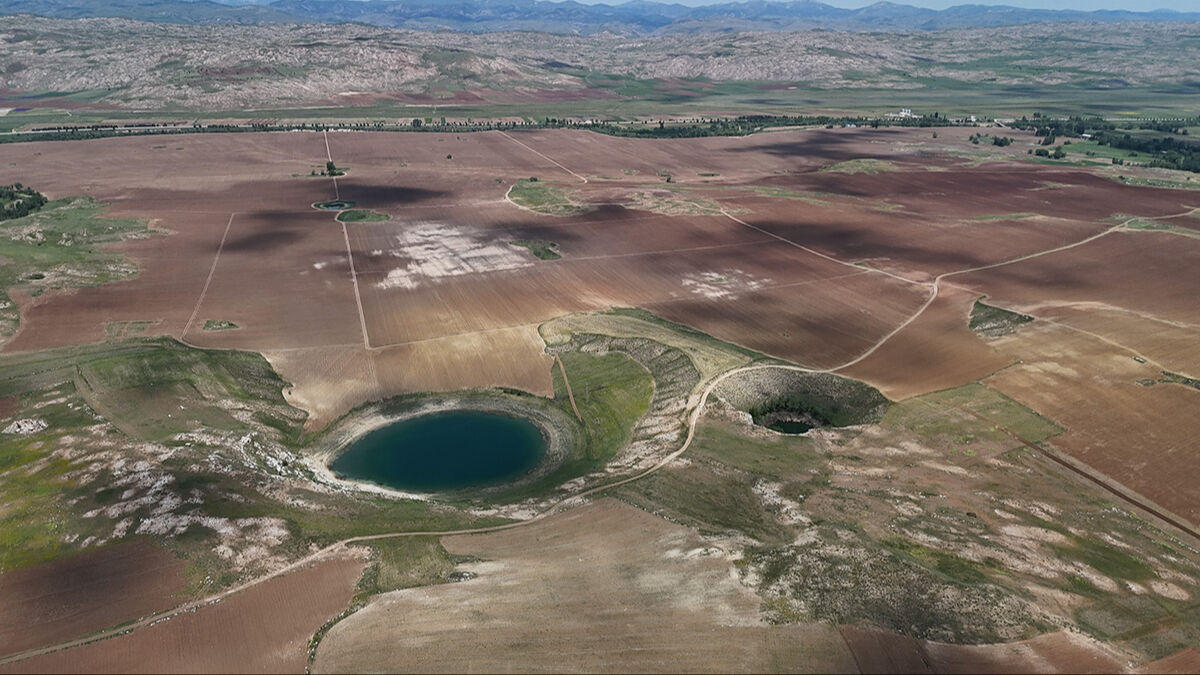 Kene korkusundan gidemiyorlar! Doğanın gözleri sessizliğe büründü Kene korkusundan gidemiyorlar! Doğanın gözleri sessizliğe büründü - 4. Resim