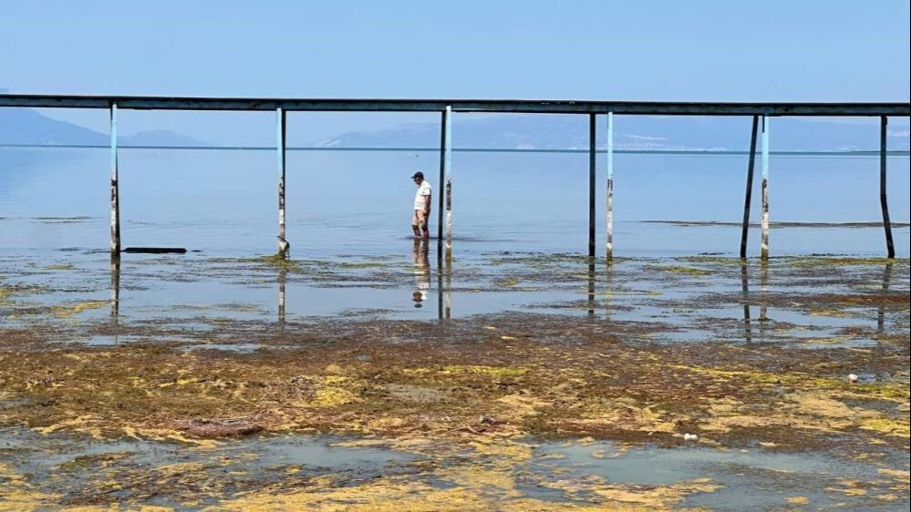 Korkutan g&ouml;r&uuml;nt&uuml;! Kuraklık en b&uuml;y&uuml;k iskeleyi bile ortaya &ccedil;ıkardı - 3. Resim