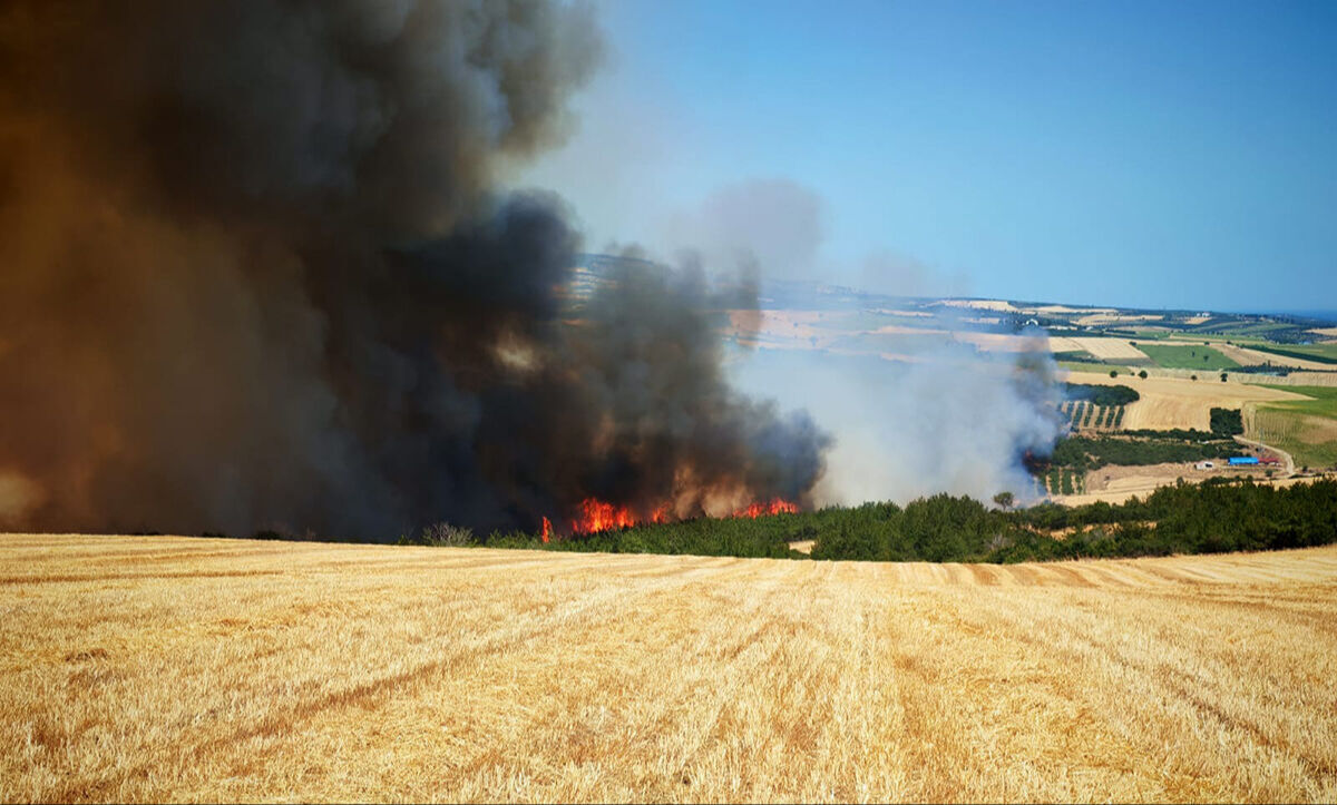 Tekirdağ Şarköy yangın son dakika: Yangın neden çıktı, söndü mü? - 2. Resim