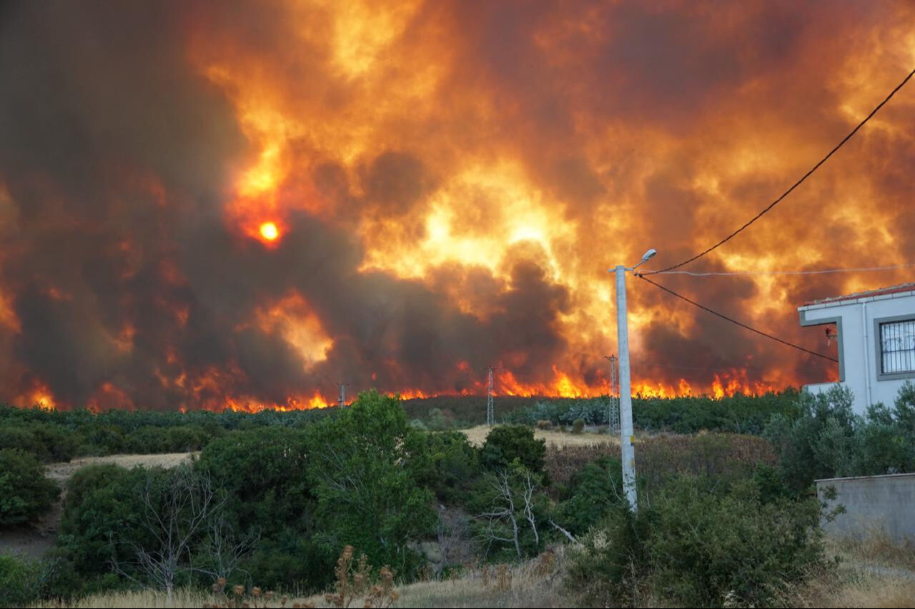 Tekirdağ'da anız yangını ormana da sıçradı! Söndürme çalışmaları sürüyor - 1. Resim