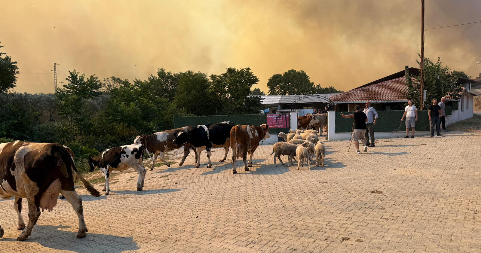 Tekirdağ'da yangın ilçeye ulaştı, mahalleler boşaltıldı! Kent diken üstünde Tekirdağ'da yangın ilçeye ulaştı, mahalleler boşaltıldı! Kent diken üstünde - 2. Resim
