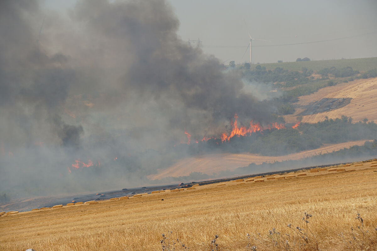 Tekirdağ'da yangın ormana sıçradı! Helikopterler harekete geçti - 2. Resim