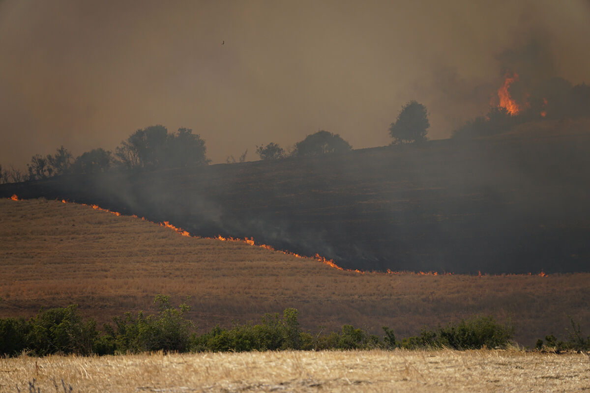 Tekirdağ'da yangın ormana sıçradı! Helikopterler harekete geçti - 3. Resim