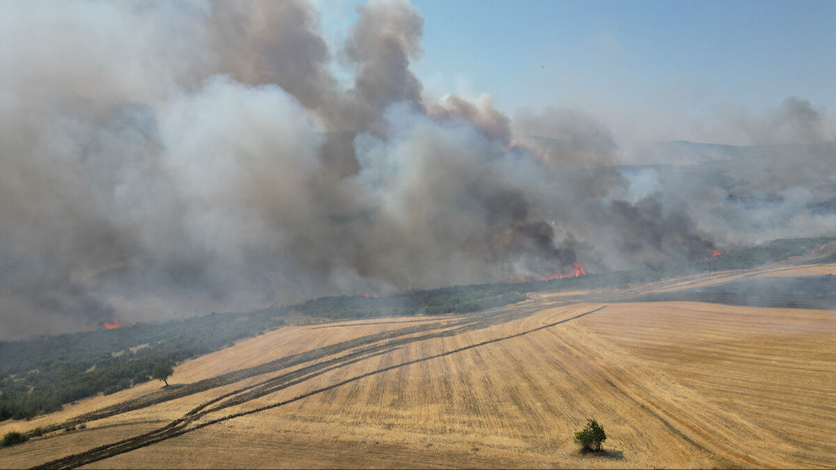 Tekirdağ'da yangın ormana sıçradı, helikopterler harekete geçti - 2. Resim