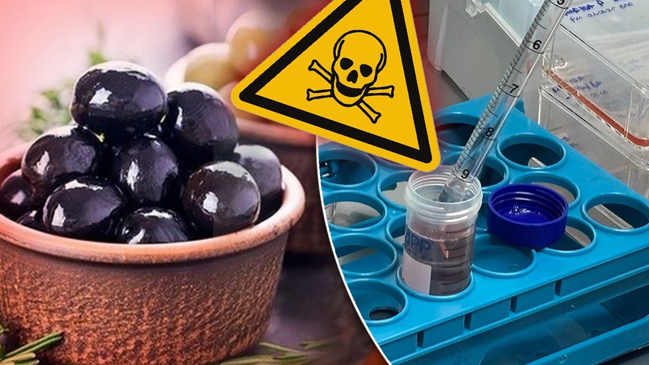Zeytin değil zehir! Uzmanlar korkunç sonuçla karşılaştı, araştırma derinleştirildi Zeytin değil zehir! Uzmanlar korkunç sonuçla karşılaştı, araştırma derinleştirildi