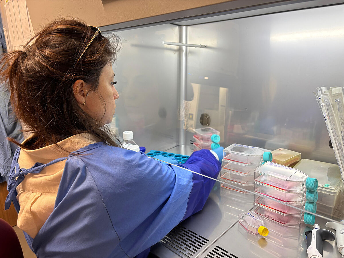 Zeytin değil zehir! Başka ürünler de tehlikede... Uzmanlar korkunç sonuçla karşılaştı, araştırma derinleştirilecek - 1. Resim