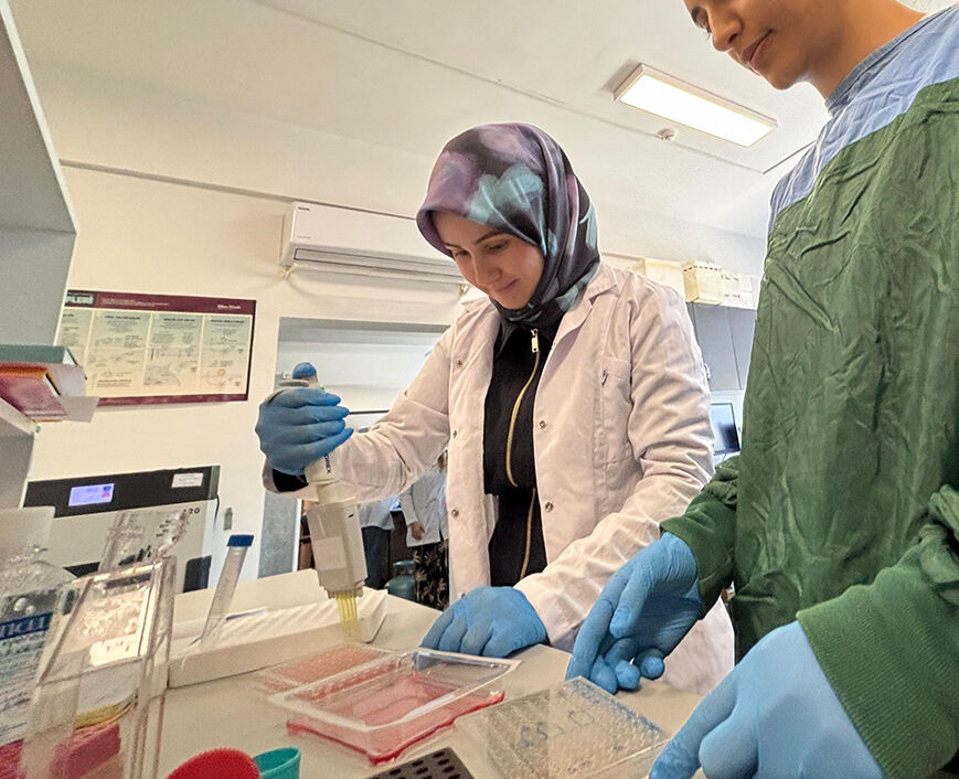 Zeytin değil zehir! Başka ürünler de tehlikede... Uzmanlar korkunç sonuçla karşılaştı, araştırma derinleştirilecek - 3. Resim