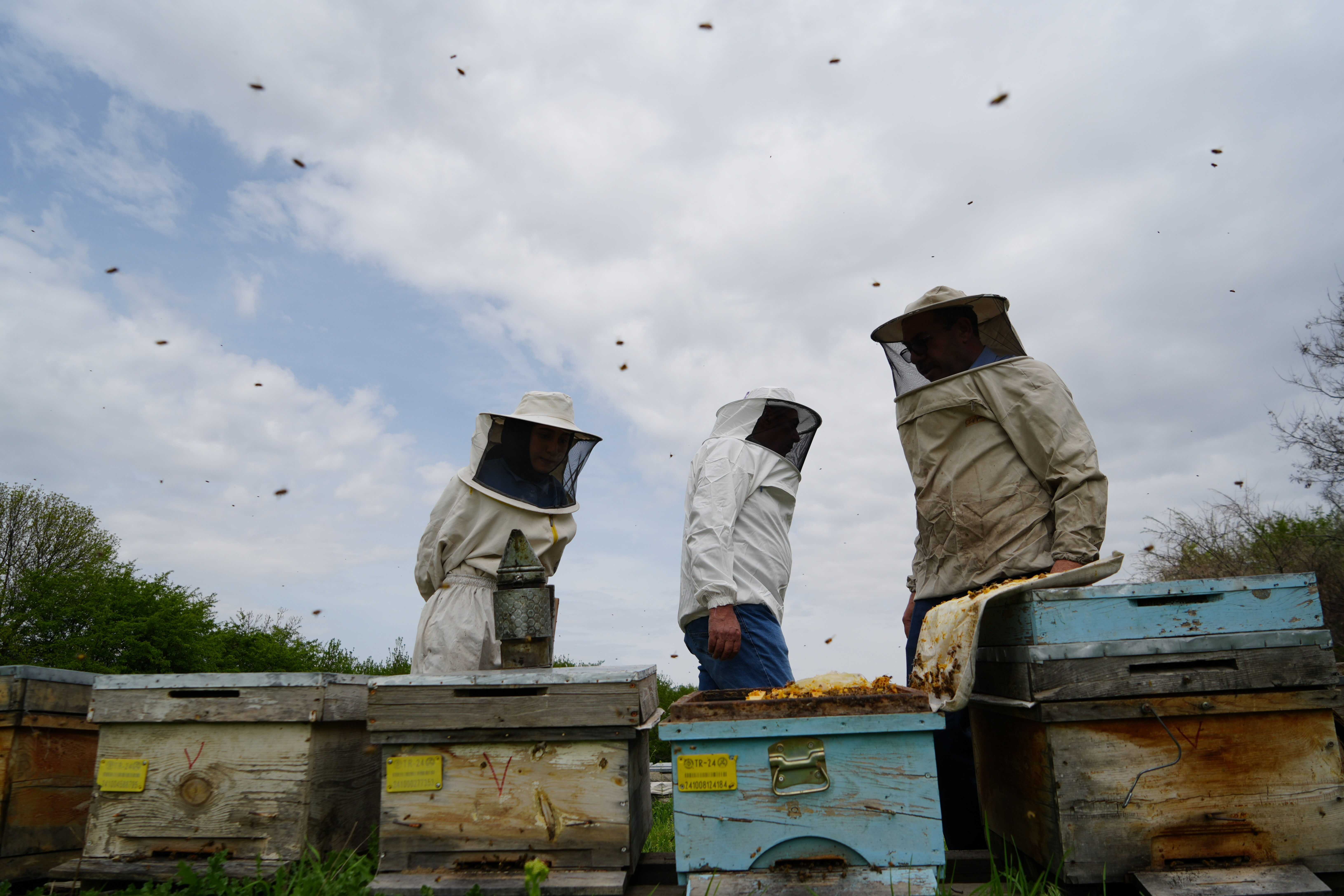 15 Haziran sonrası kabusları oldu... 400 ton kayıp var! Bir meslek bitme noktasında - 2. Resim