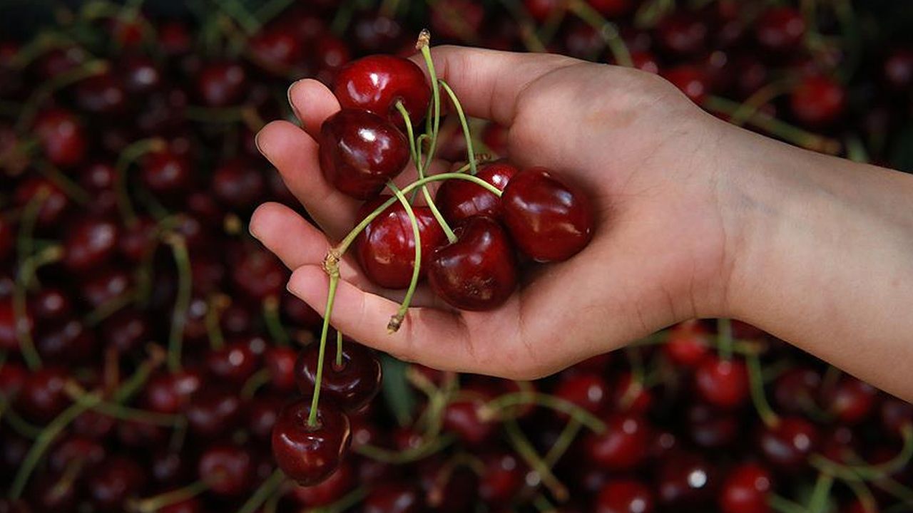 Bir tanesi 8 lira 40 kuruş! Sosyal medyayı sallayan fotoğraf Bir tanesi 8 lira 40 kuruş! Sosyal medyayı sallayan fotoğraf