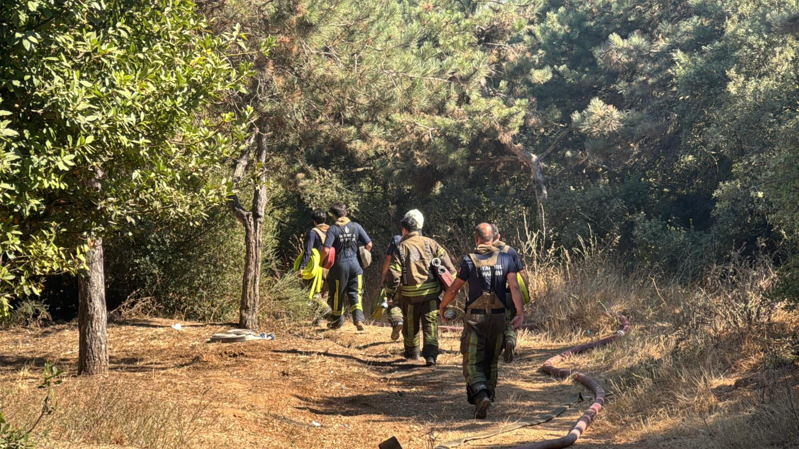 İstanbul'da Kent Ormanı'nda yangın! Ekipler bölgede - 1. Resim
