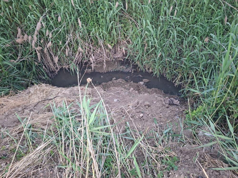 Mahalleli cam bile açamaz oldu! Nefes almak çok zor, sebebi ise... - 1. Resim